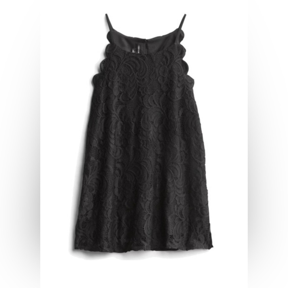 Fortune + Ivy Black Lace Scalloped Halter Blouse | L